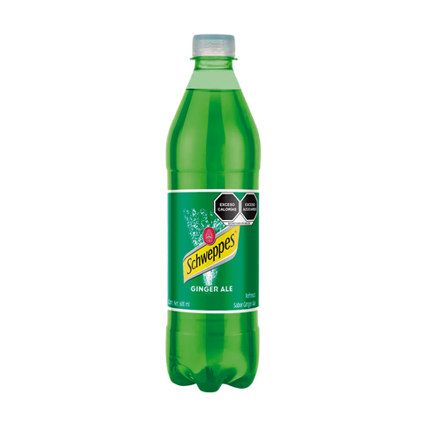 SCHWEPPES GINGER ALE 600ML
